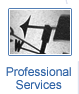 Professional Services